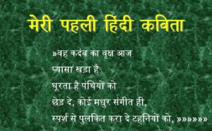 मेरी पहली हिंदी कविता